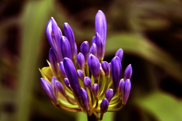 球员：你敢信？我都没看球门