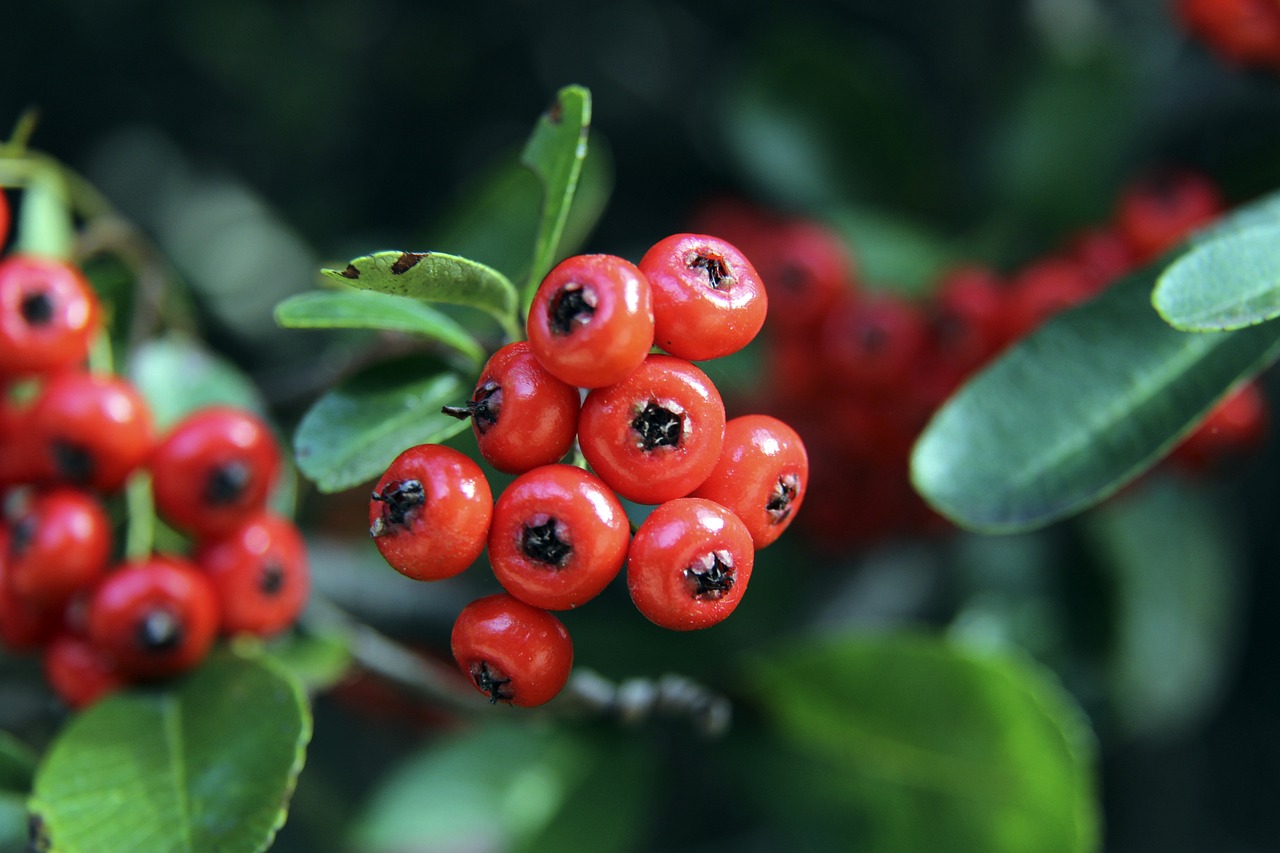 NBA常规赛焦点战总结