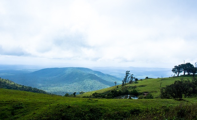 即使郜林伟 即使郜林伟
