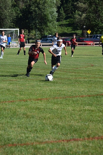 媒體的一致 媒體的一致