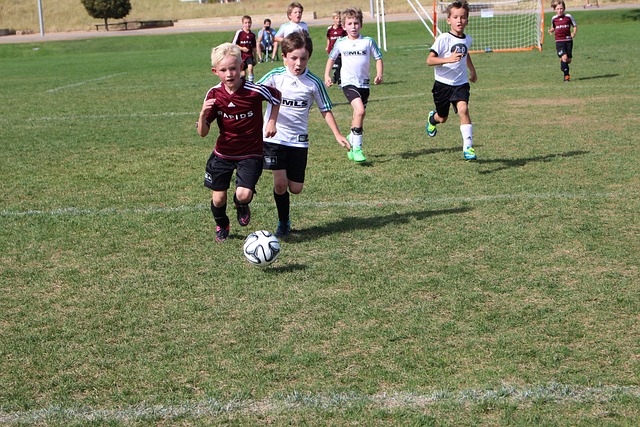 队的一员 队的一员