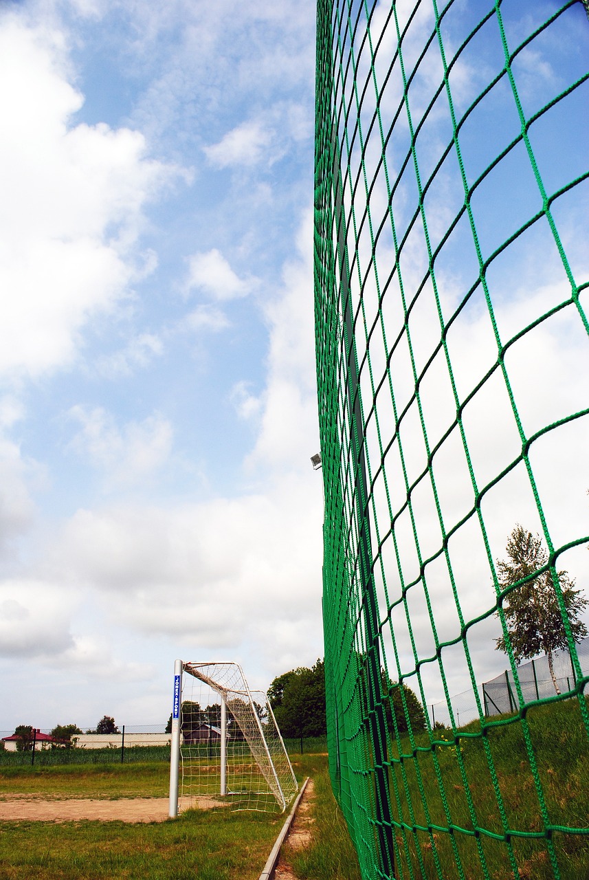 的防守策略 的防守策略