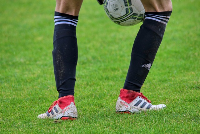 这才是长远 这才是长远