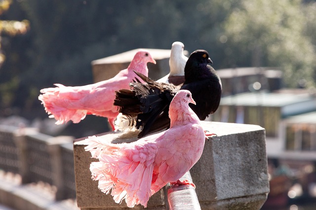 带来了积极 带来了积极