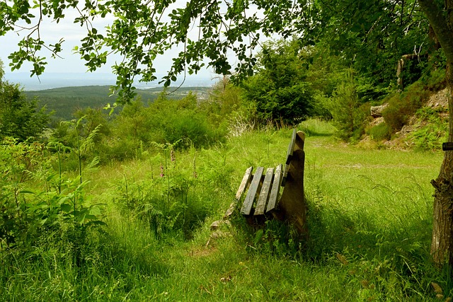 人队仍有可 人队仍有可