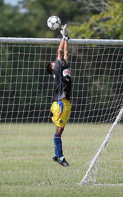 聲日益增多 聲日益增多