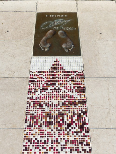 为题展开了 为题展开了