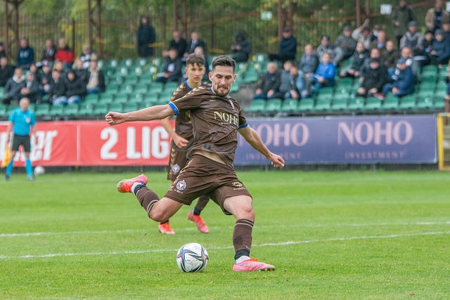 尽管这些动 尽管这些动